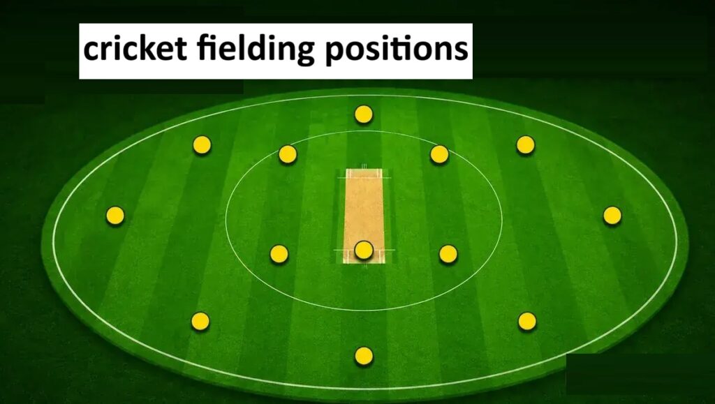 cricket fielding positions