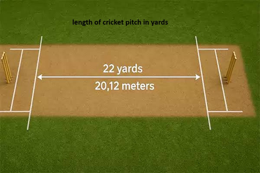 length of cricket pitch in yards